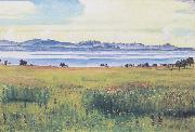 Ferdinand Hodler Lake Geneva from St Prex (nn02) Germany oil painting artist